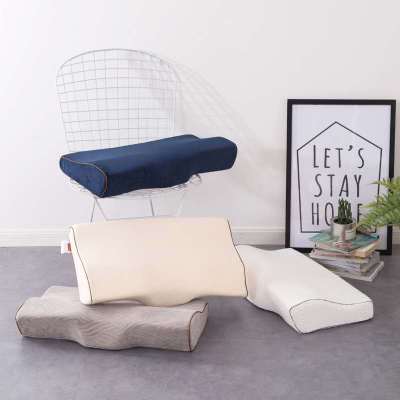 Oreiller Papillon Mémoire de Forme Omorian Pillow